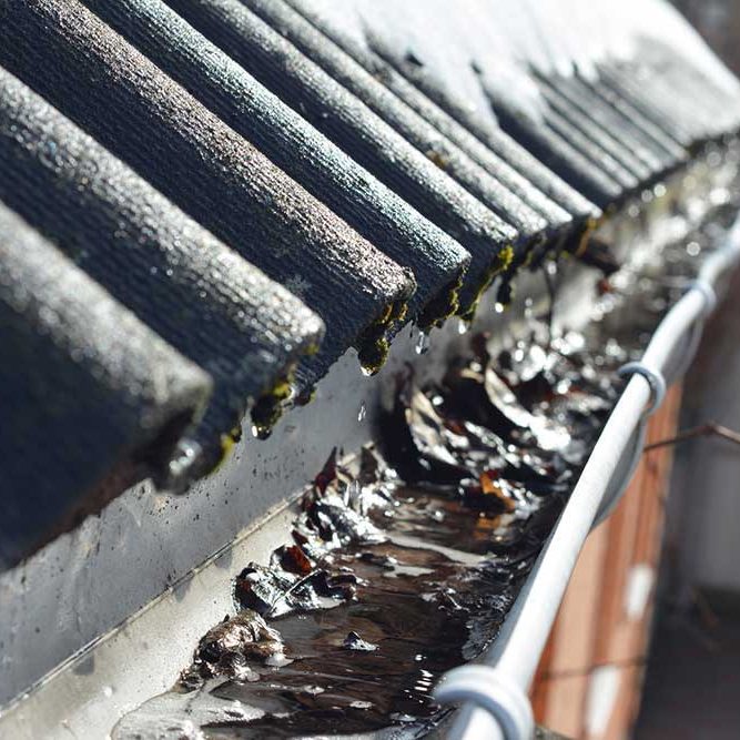 gutter-cleaning-NEW